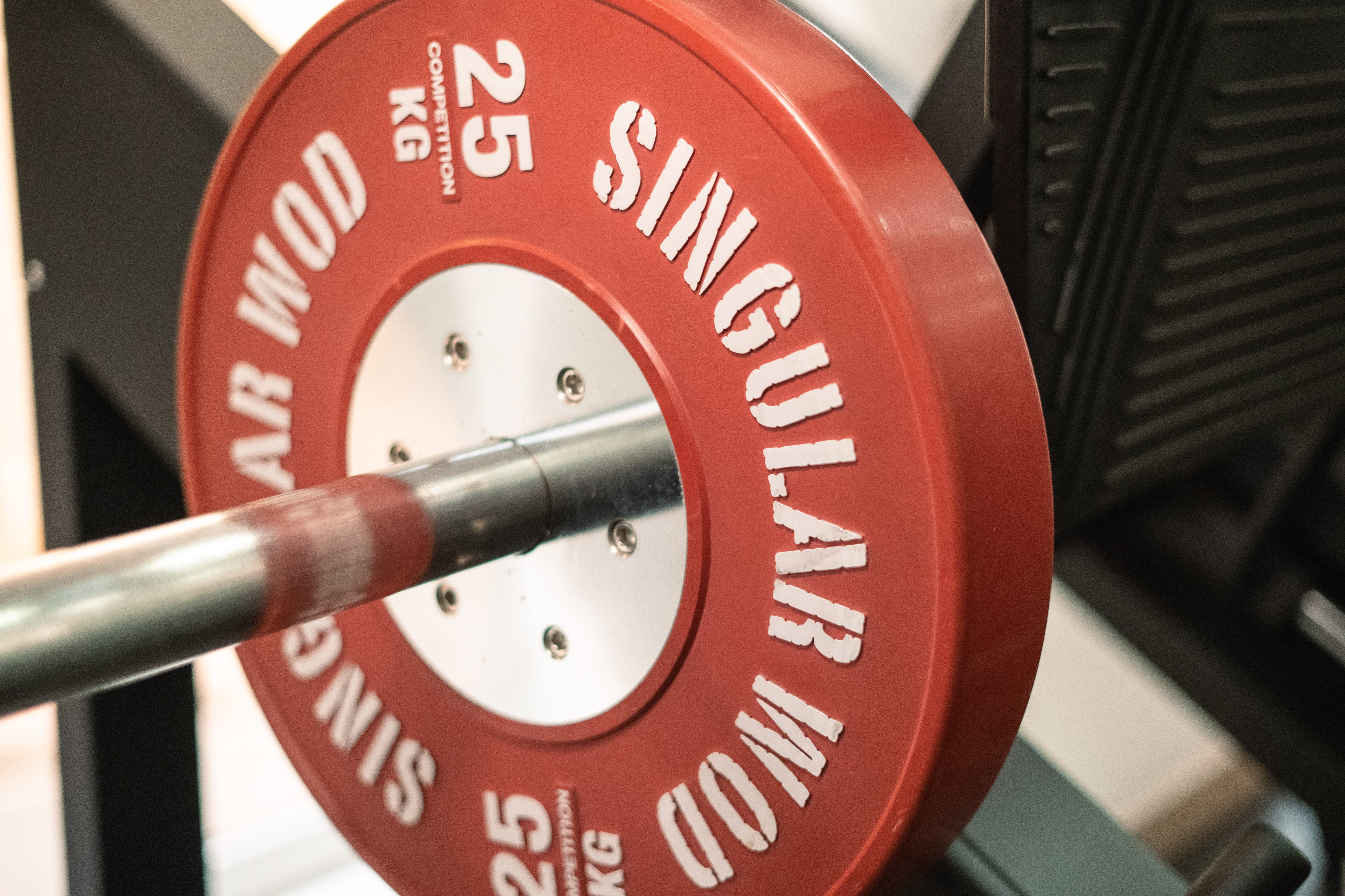 Barra con disco gimnasio Pablo Botella