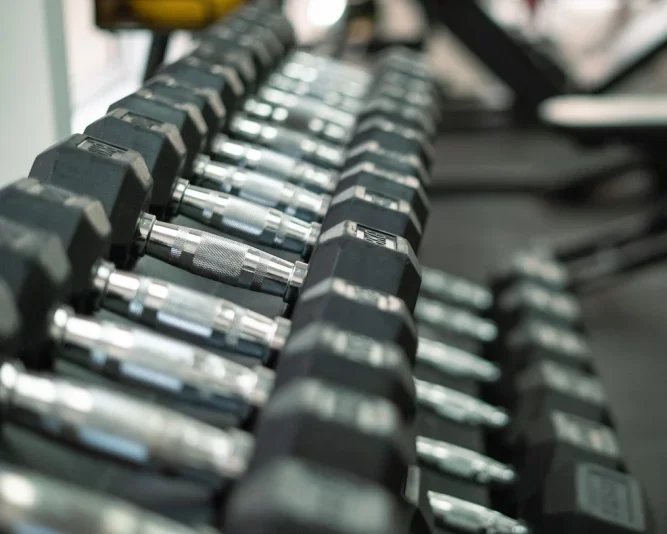 Set mancuernas gimnasio Pablo Botella, Santa Pola, Entrenamiento Online Personalizado